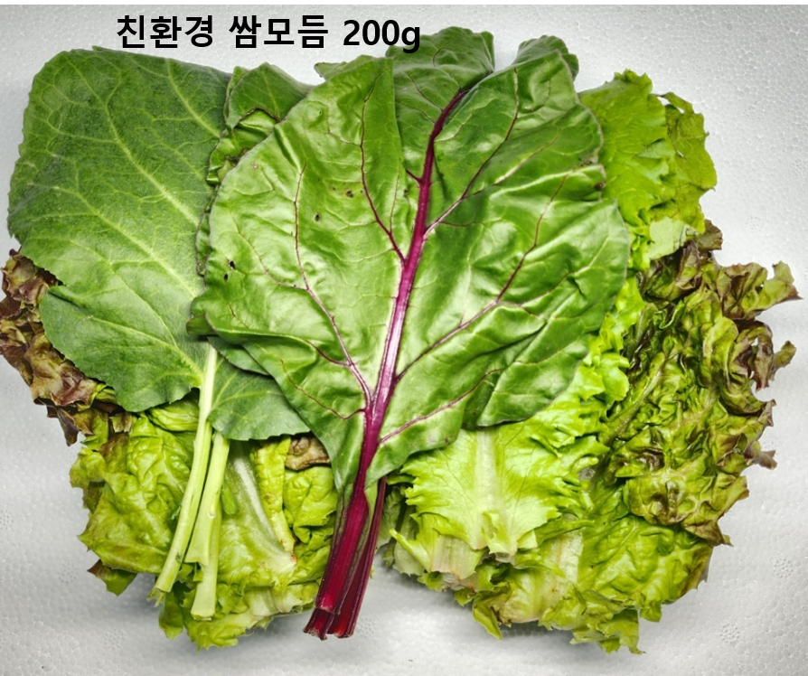 이미지4